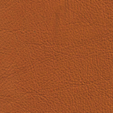 Tawny Aniline