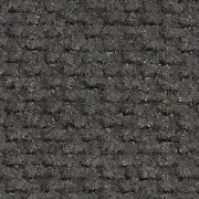 Grey Vega